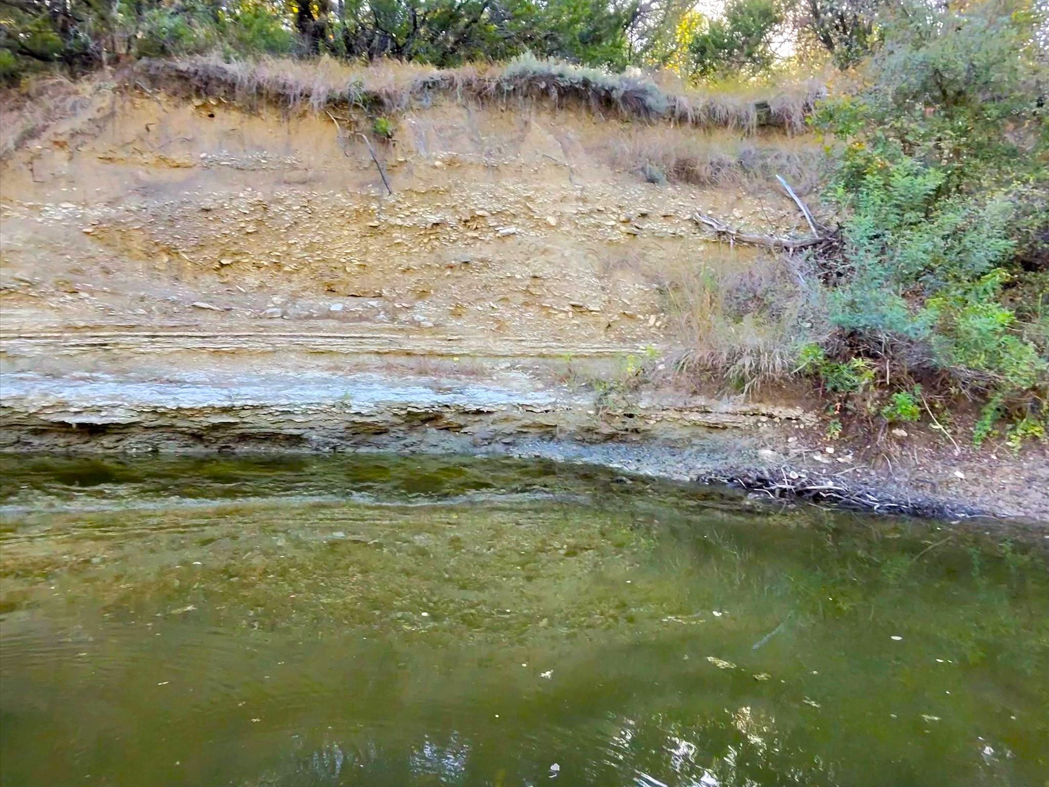 Tbd 200 Acres Fm-2481 Road Stephenville TX 76401