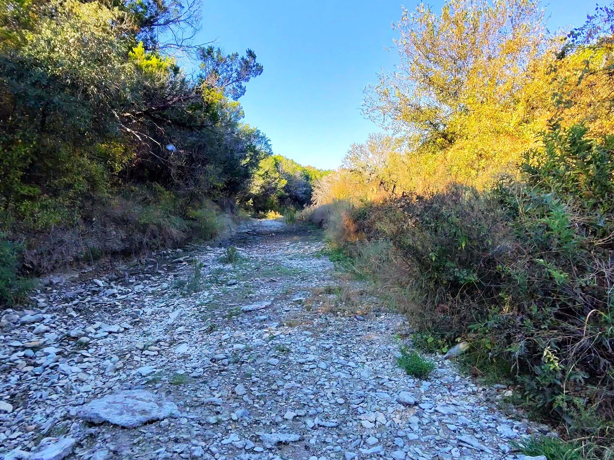 Tbd 200 Acres Fm-2481 Road Stephenville TX 76401