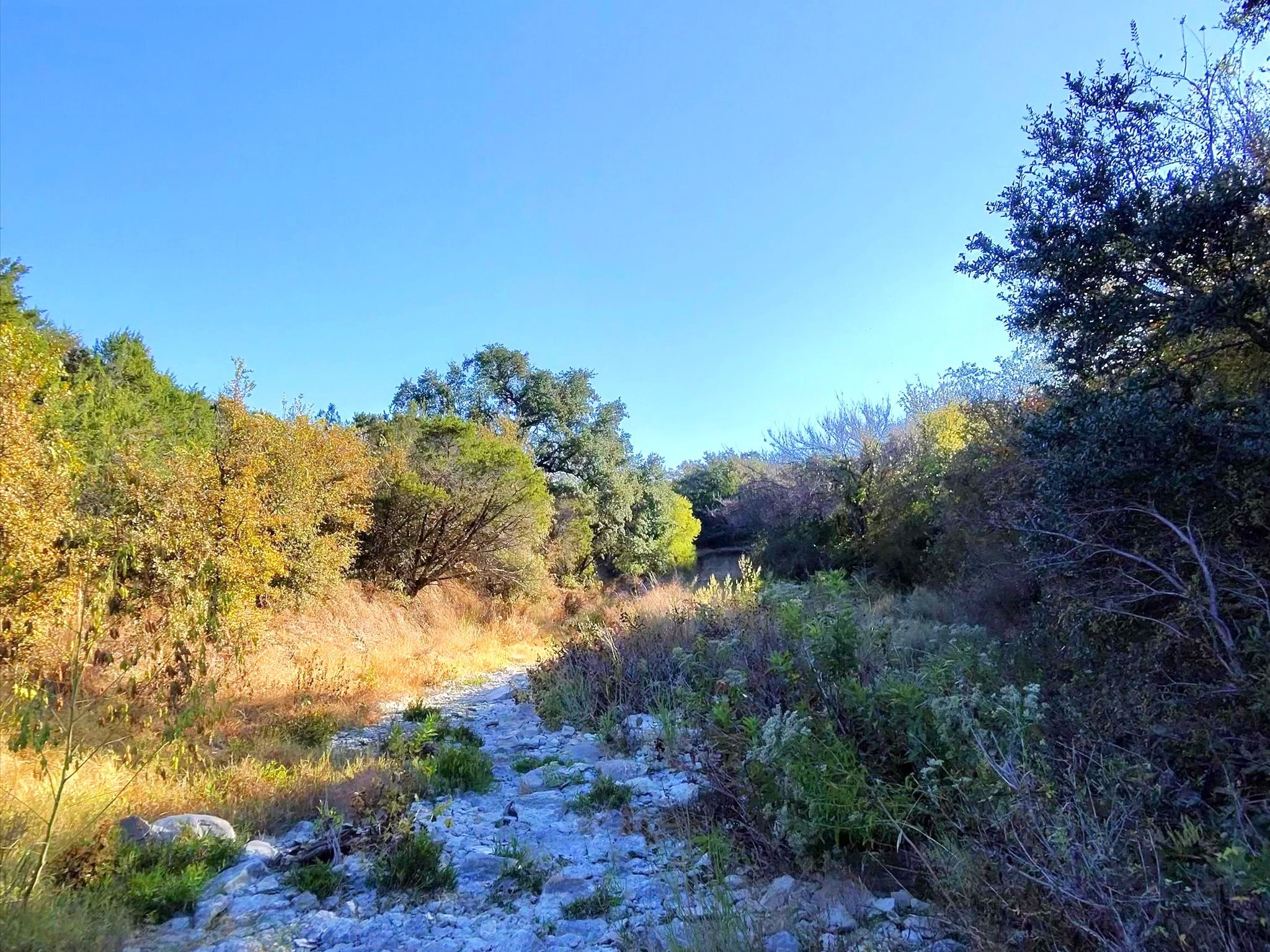 Tbd 200 Acres Fm-2481 Road Stephenville TX 76401