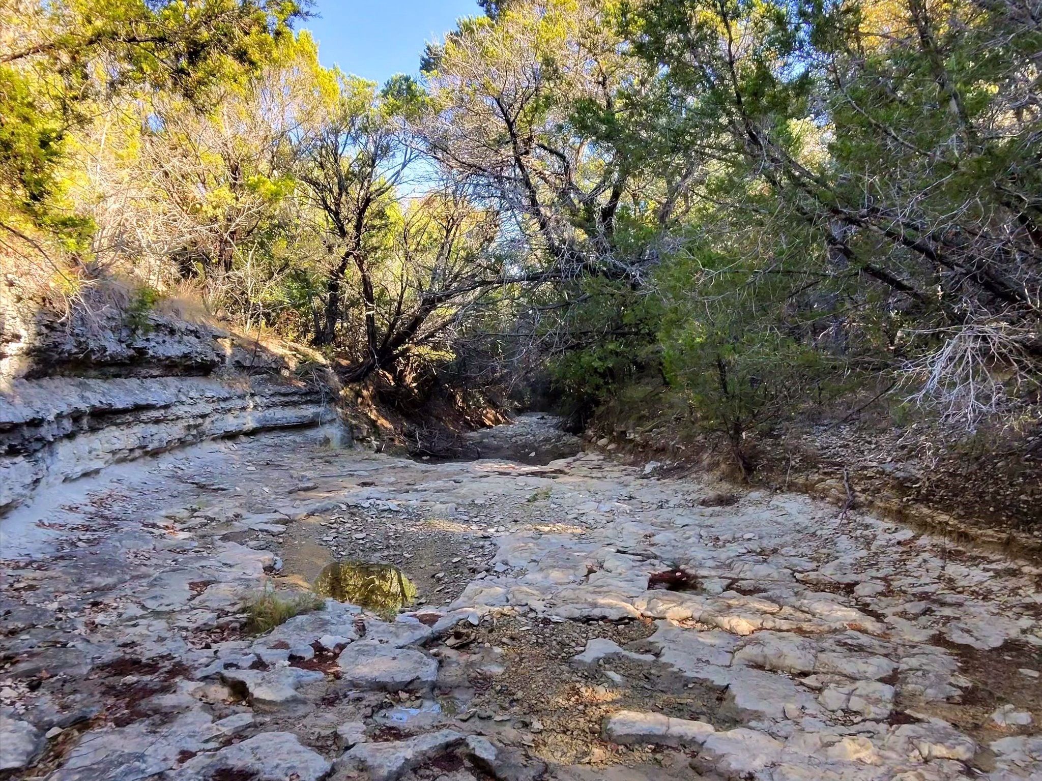 Tbd 200 Acres Fm-2481 Road Stephenville TX 76401