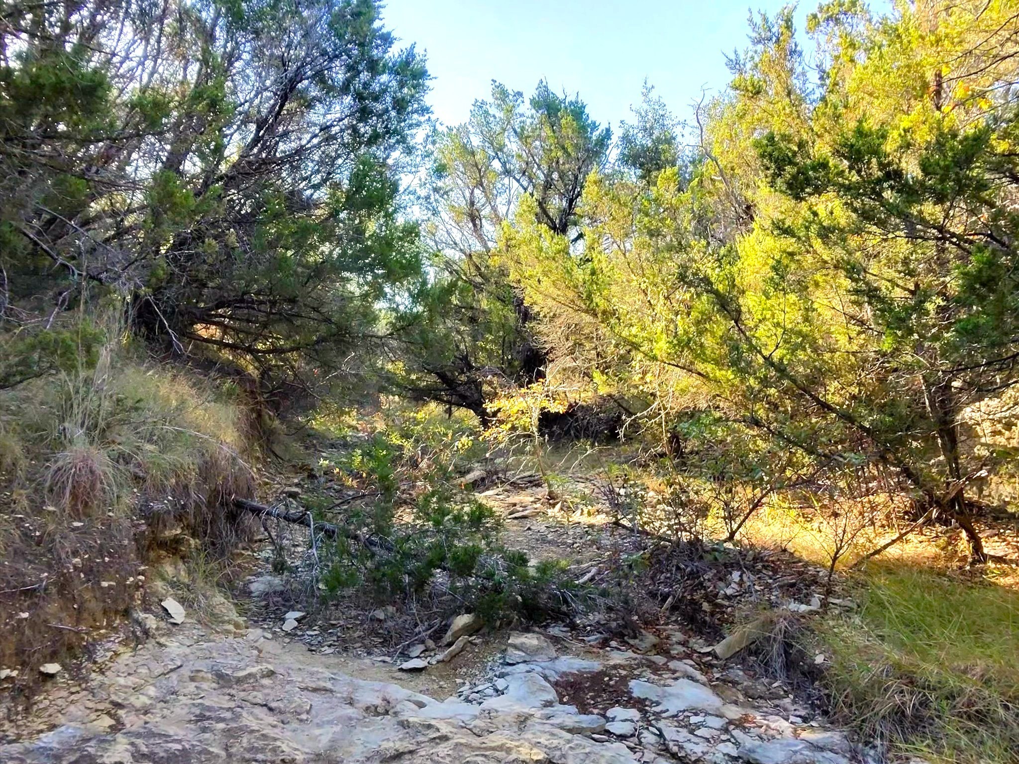 Tbd 200 Acres Fm-2481 Road Stephenville TX 76401
