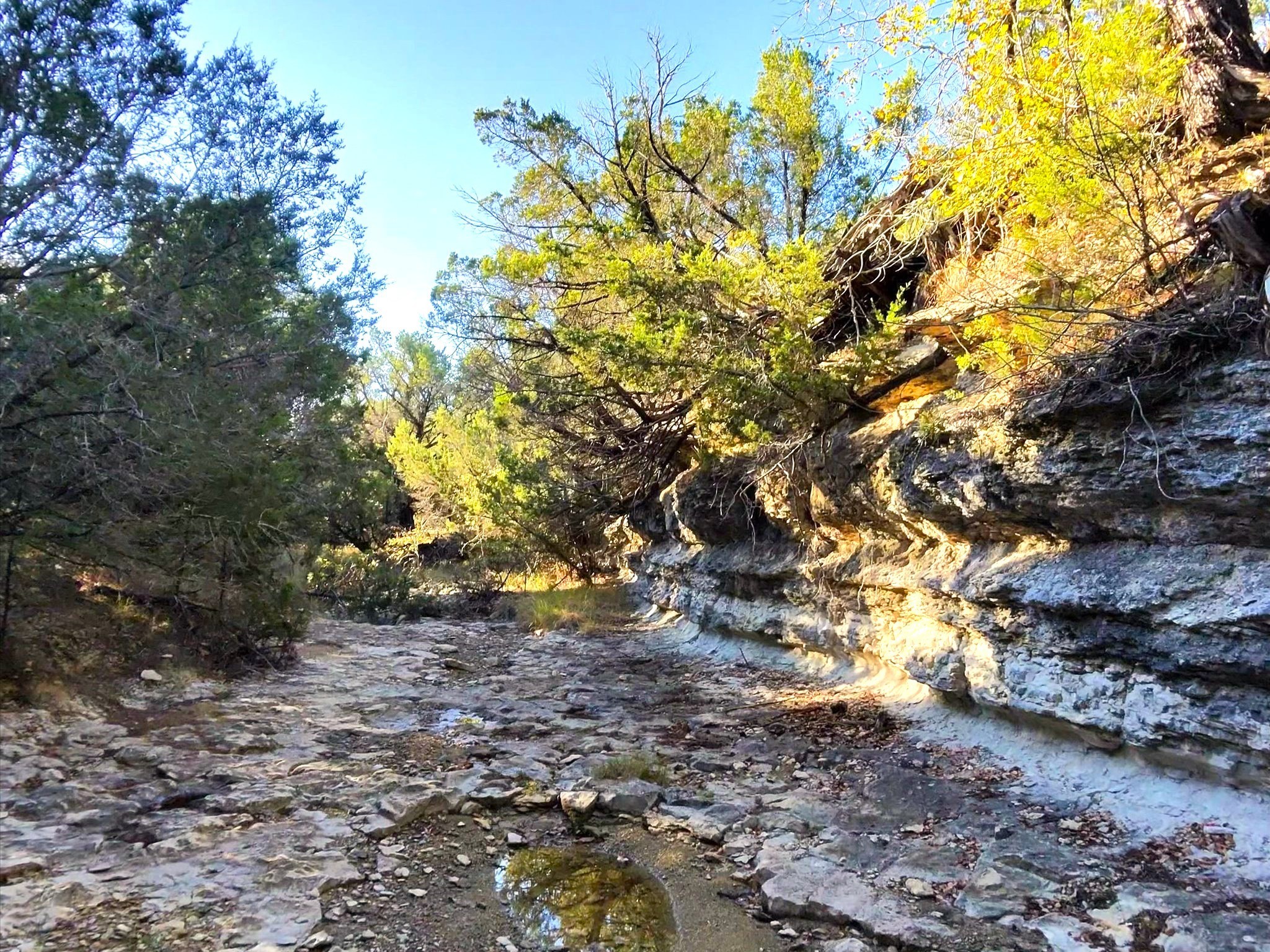 Tbd 200 Acres Fm-2481 Road Stephenville TX 76401