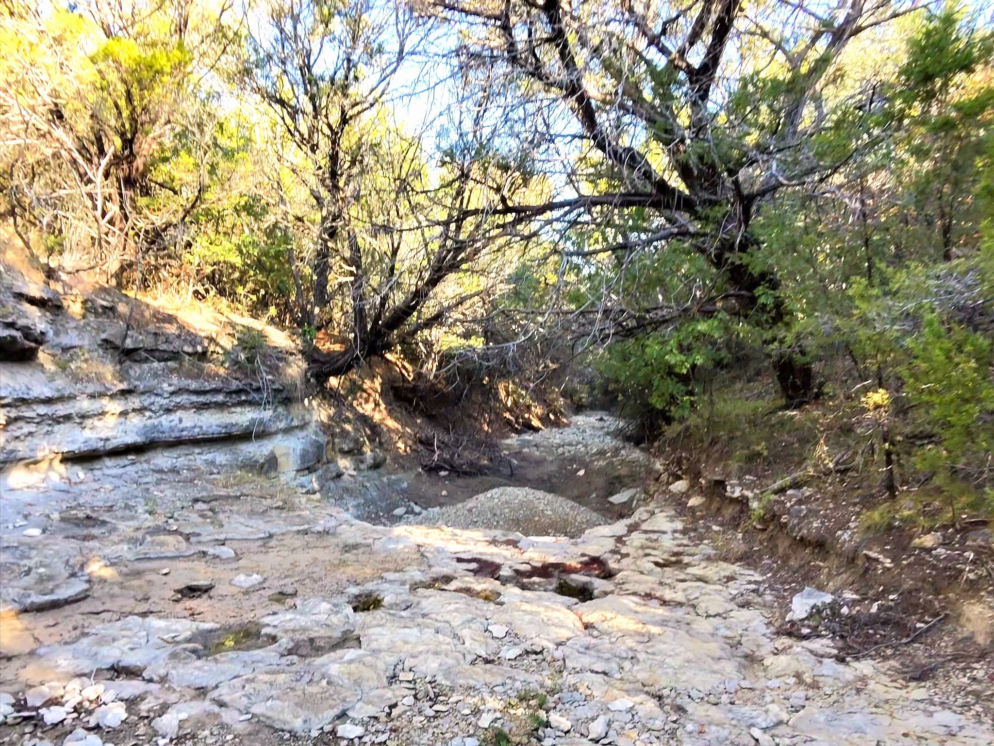 Tbd 200 Acres Fm-2481 Road Stephenville TX 76401