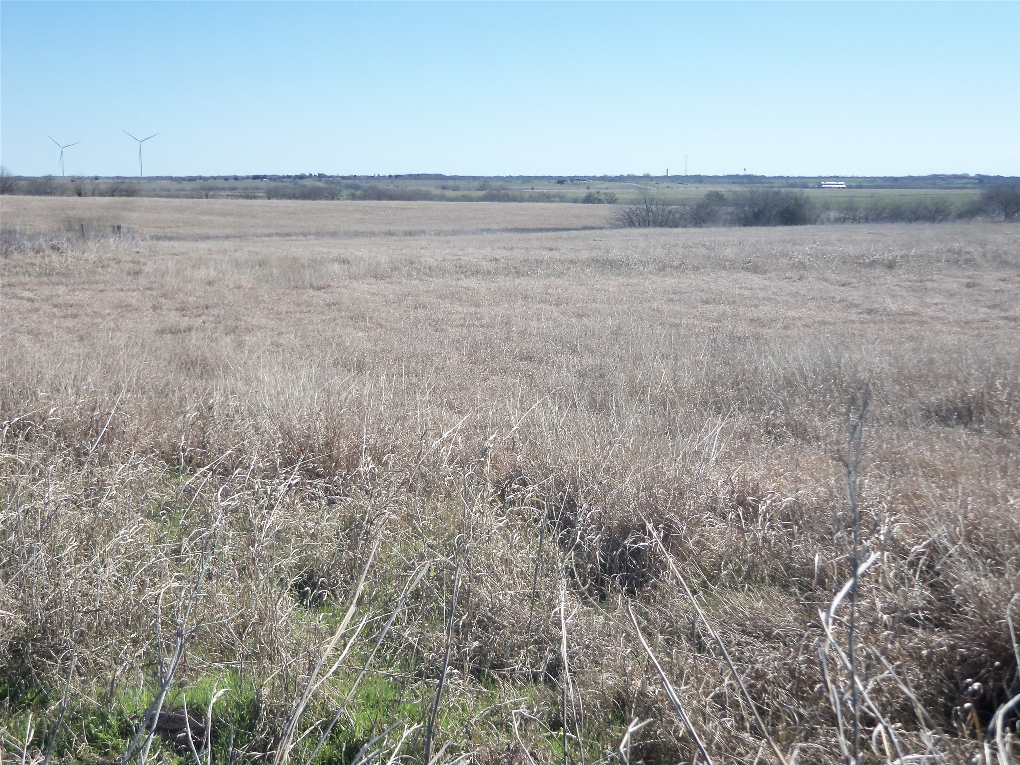 1817 Lcr 182 Road Coolidge TX 76635