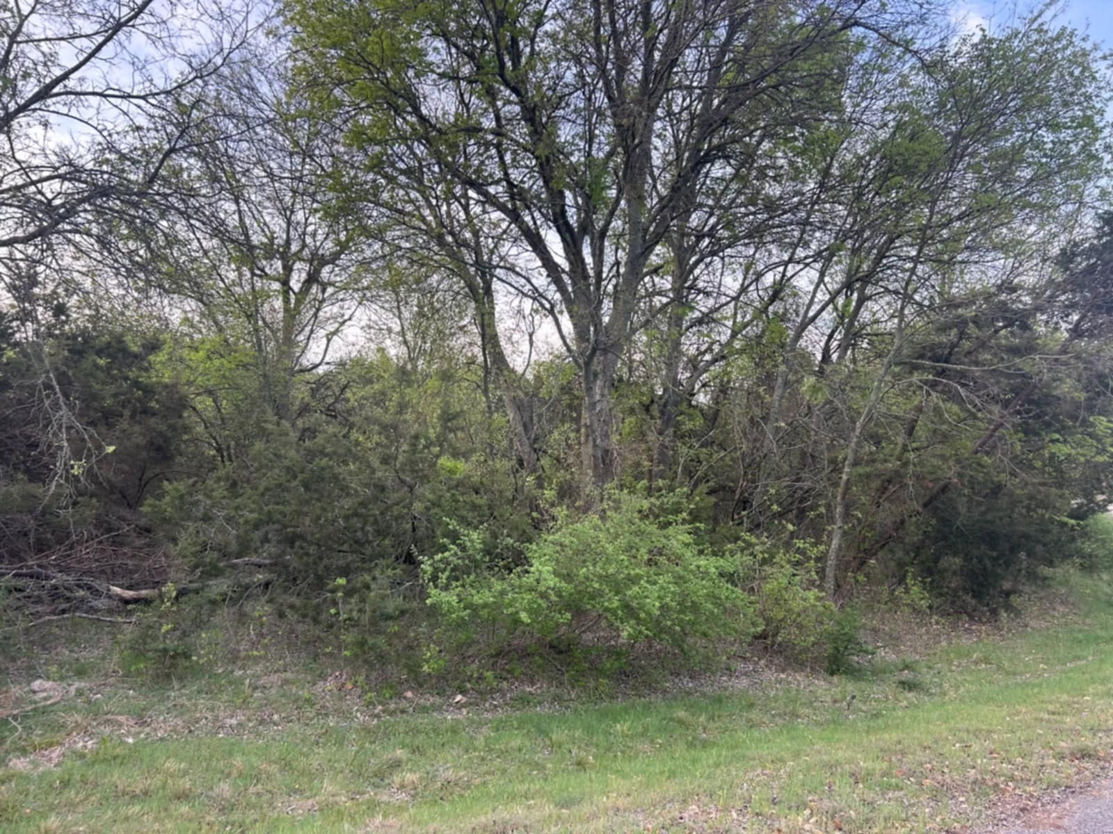 0000 Private Road 1212 Kopperl TX 76652