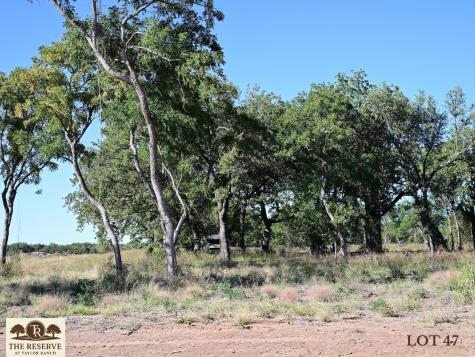 Lot 47 Colt Road Springtown TX 76082