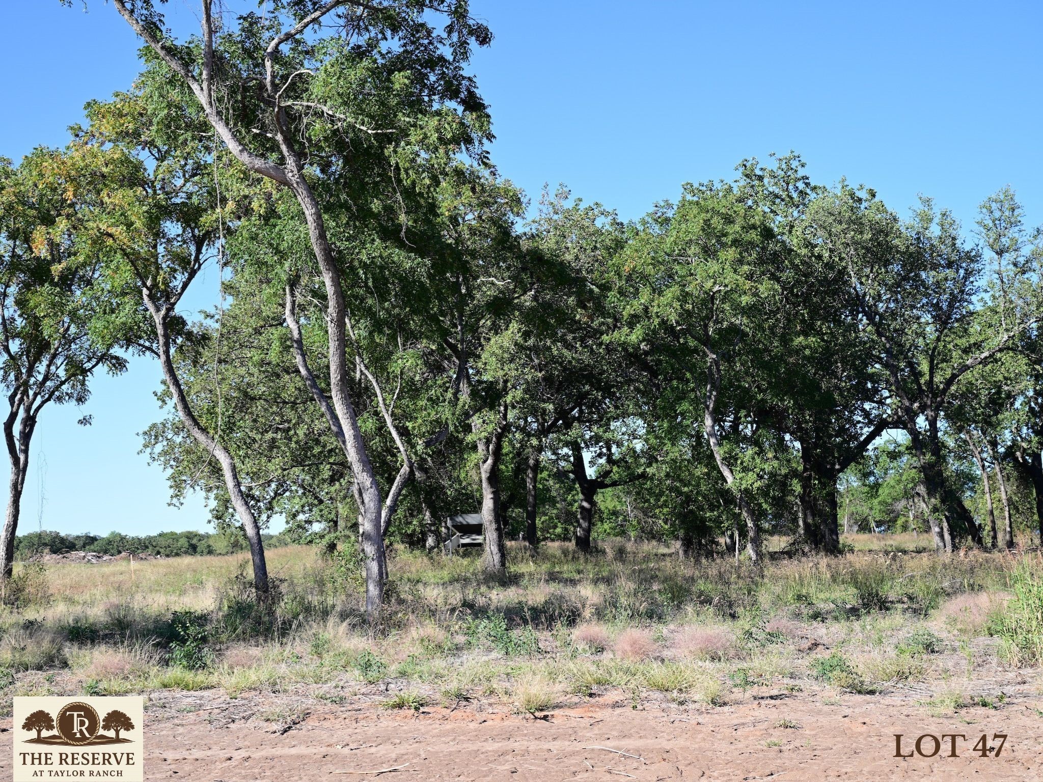 Lot 47 Colt Road Springtown TX 76082