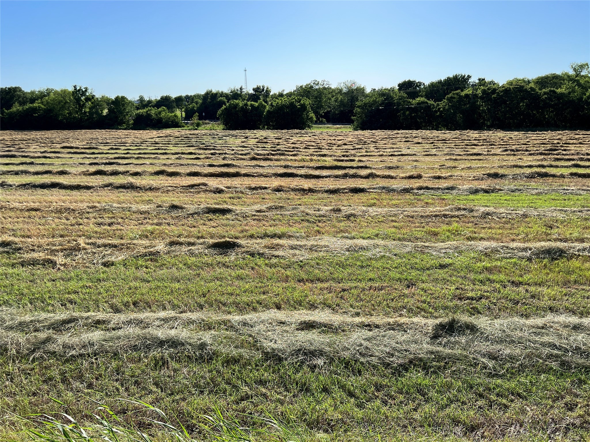 Tbd 12 W Audie Murphy Parkway Farmersville TX 75442