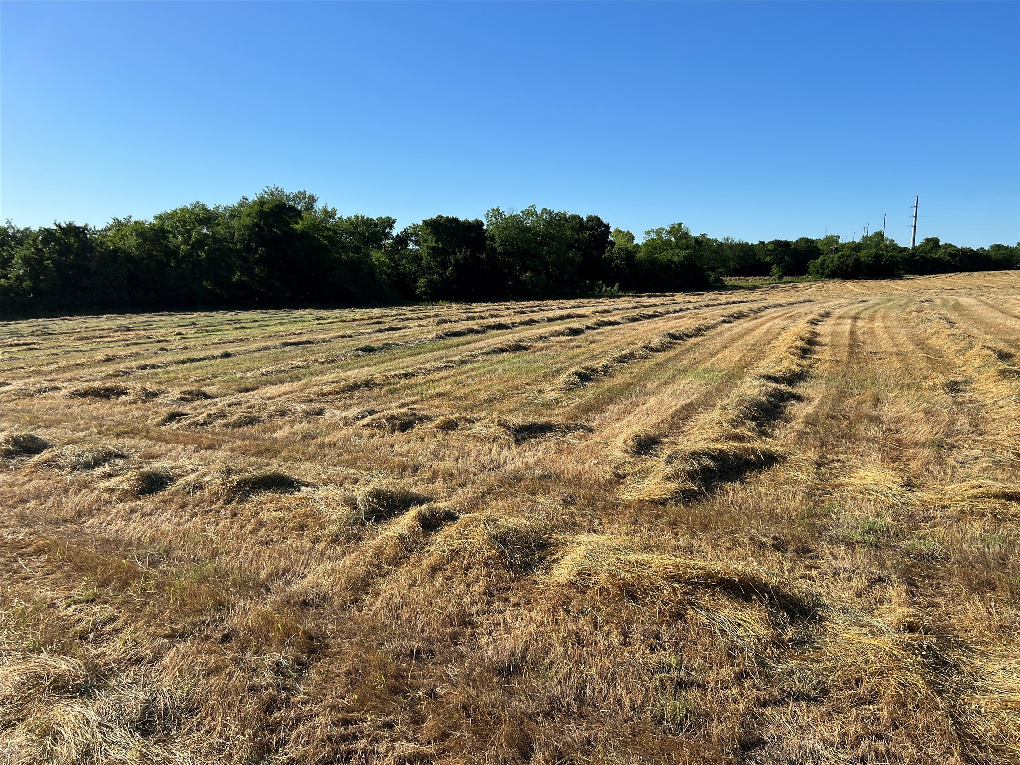 Tbd 12 W Audie Murphy Parkway Farmersville TX 75442