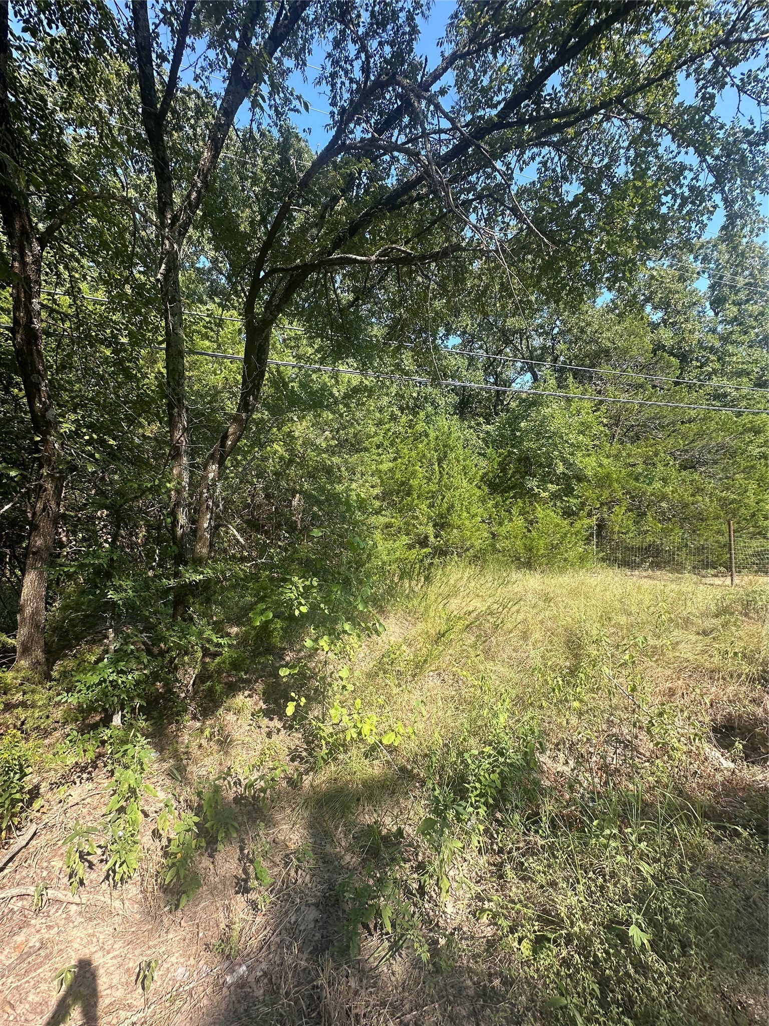 Lots 106-109 Pr 3837 Quinlan TX 75474