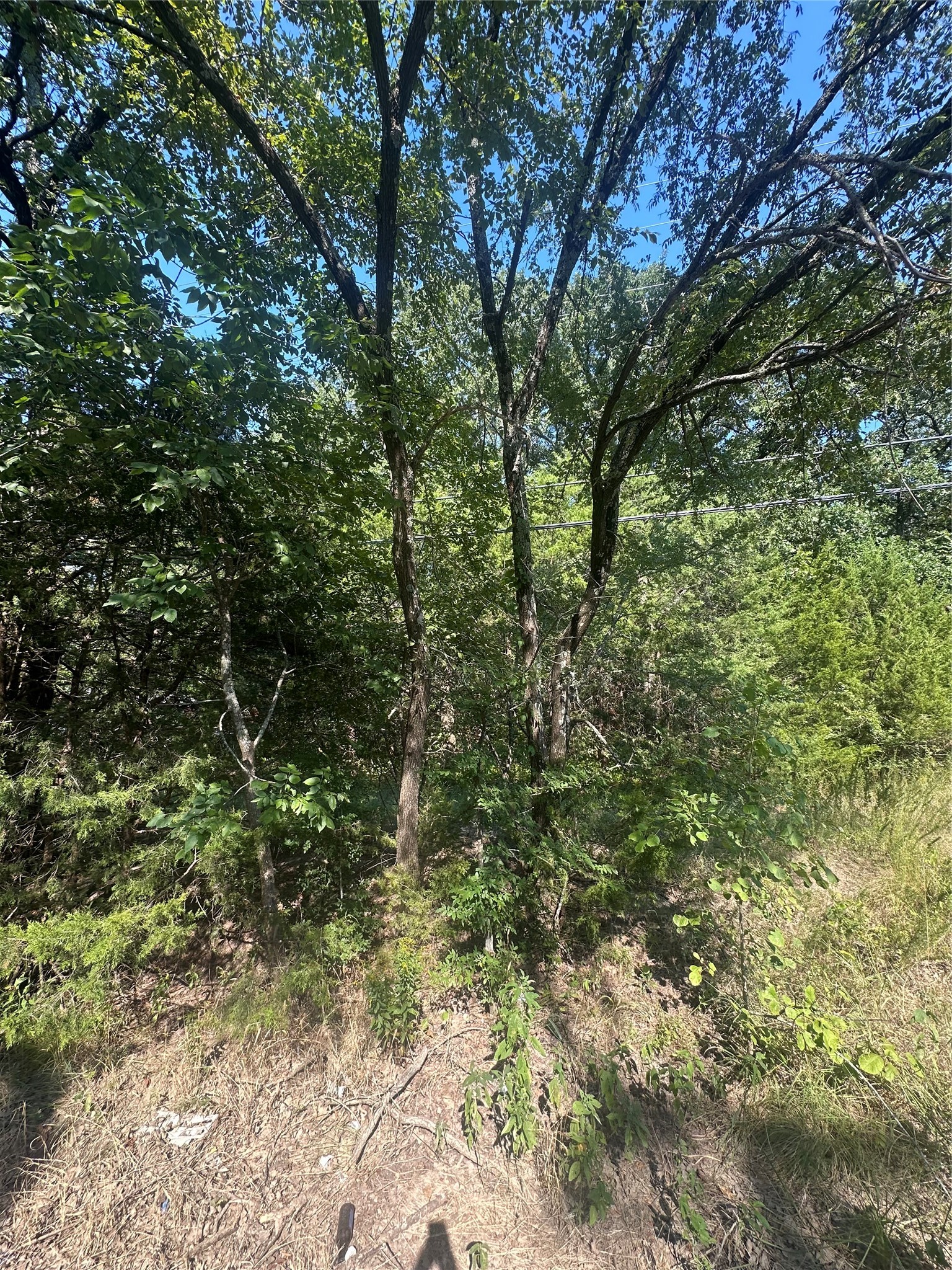 Lots 106-109 Pr 3837 Quinlan TX 75474