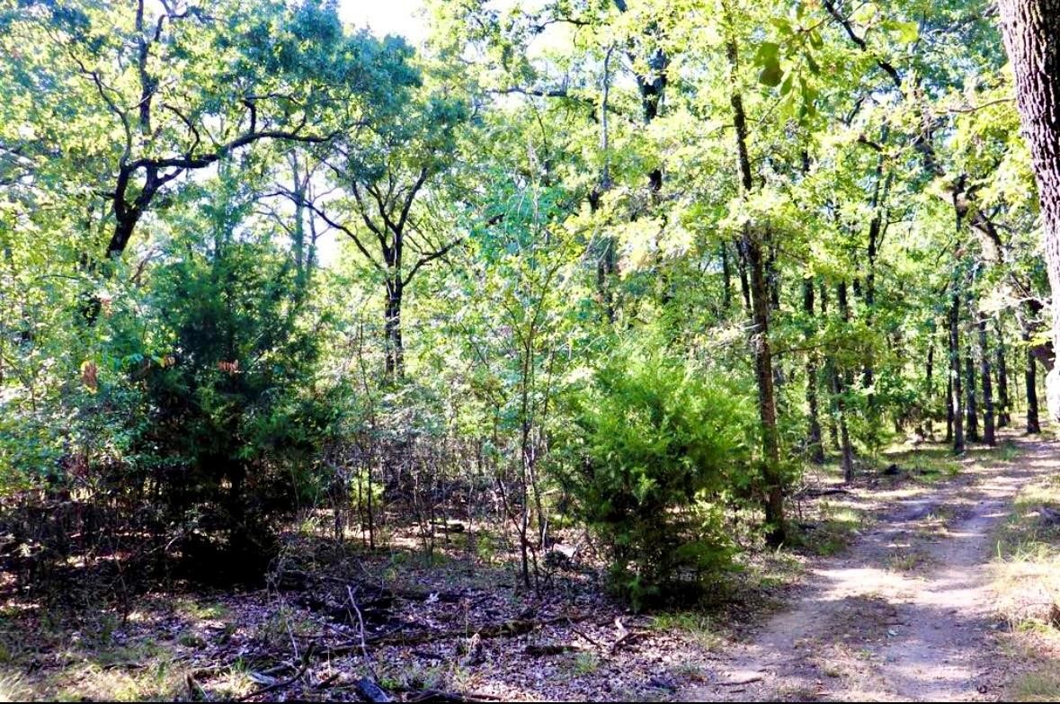 804 Wood Duck Trace Quinlan TX 75474