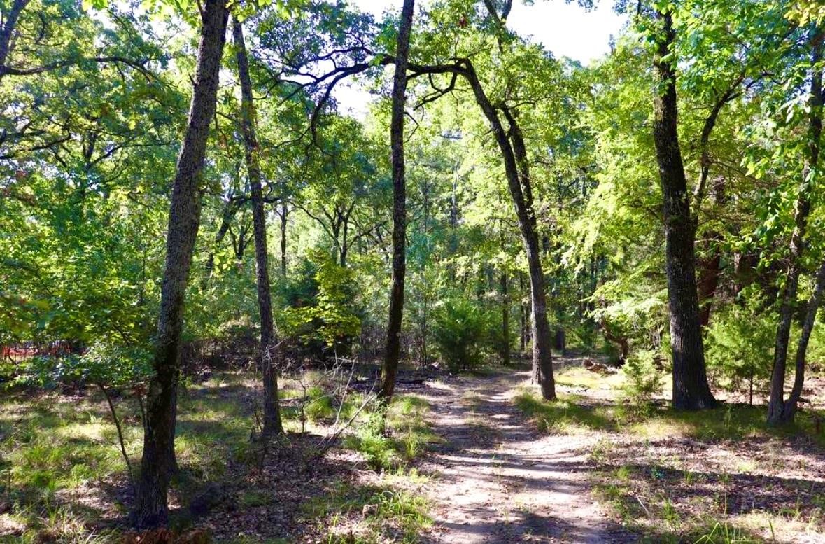804 Wood Duck Trace Quinlan TX 75474