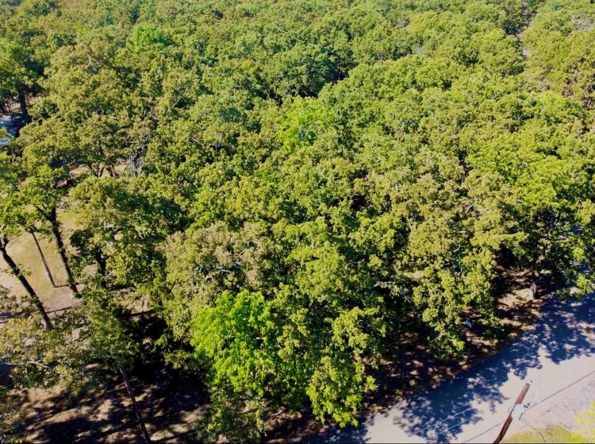 804 Wood Duck Trace Quinlan TX 75474