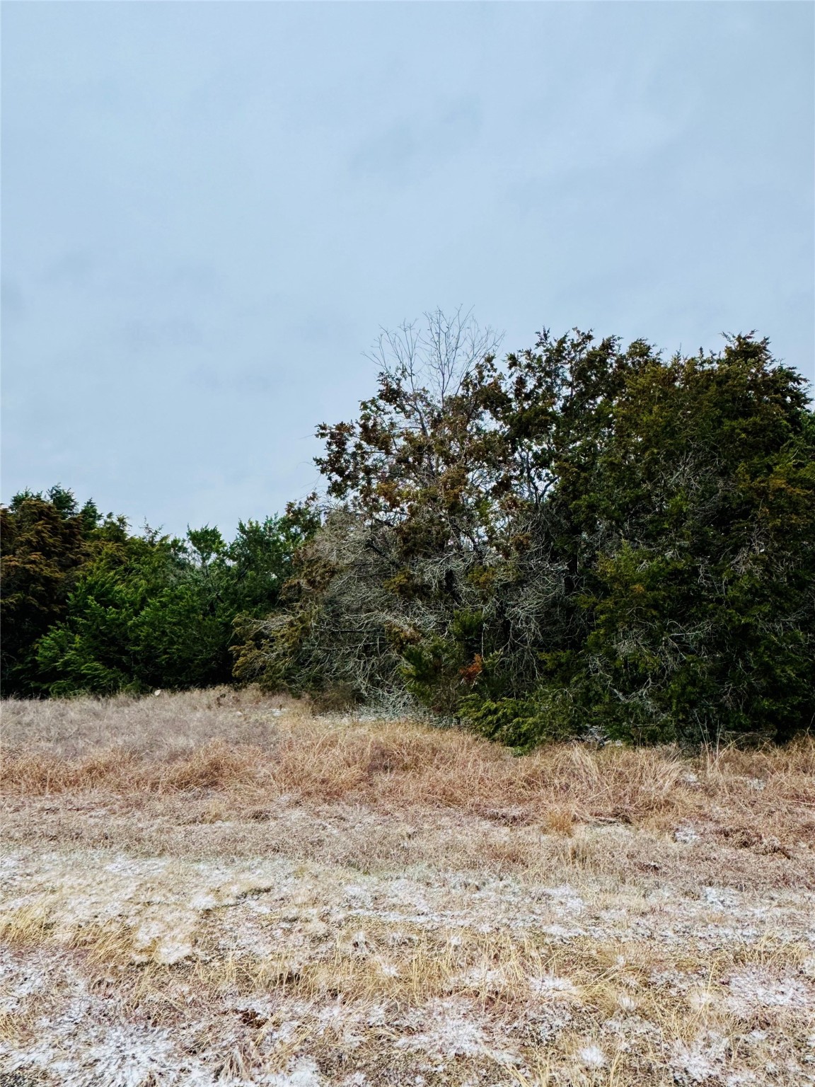 11101 Juniper Drive Whitney TX 76692