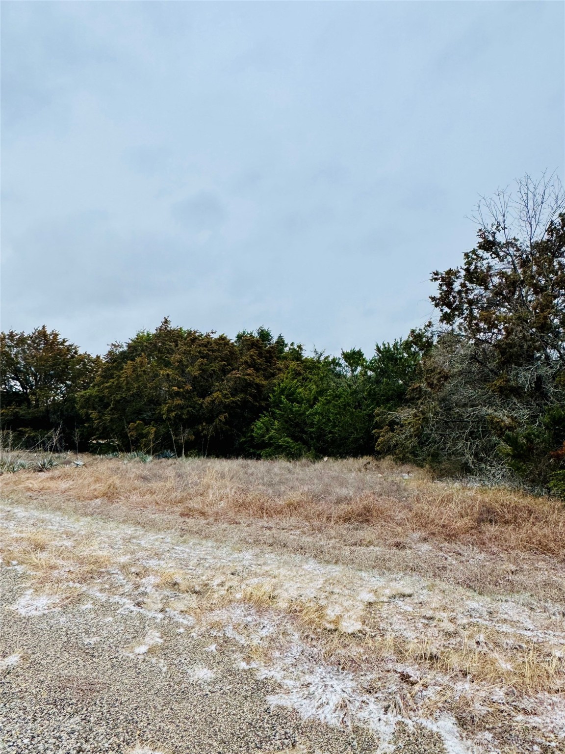 11101 Juniper Drive Whitney TX 76692
