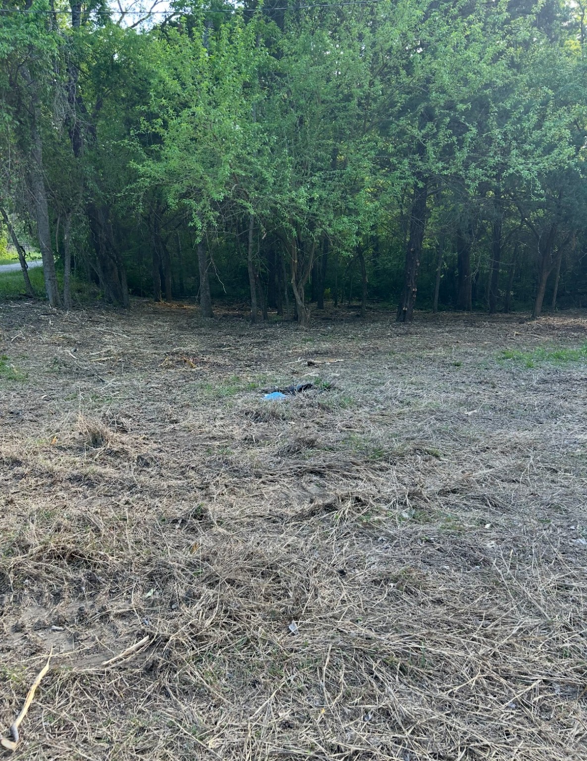 Lot 8 Cr 3732 Wills Point TX 75169