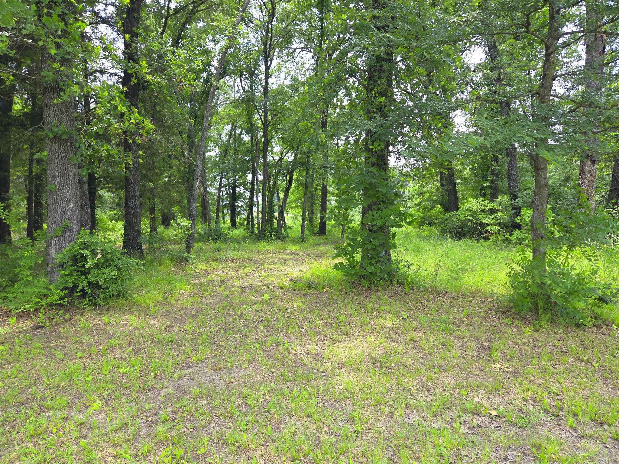 442 Waters Edge Drive Corsicana TX 75109