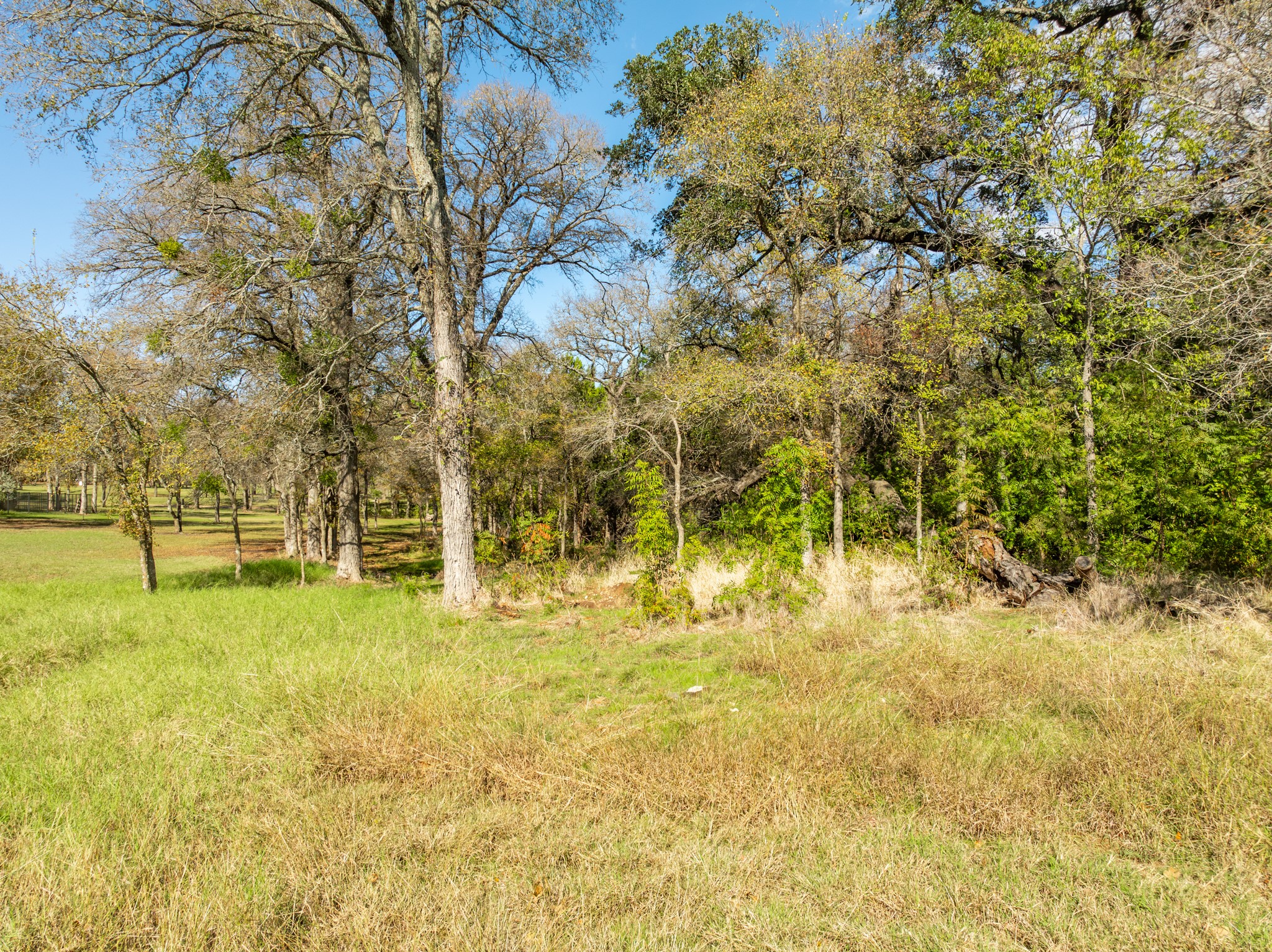 13012 Crestwood Whitney TX 76692