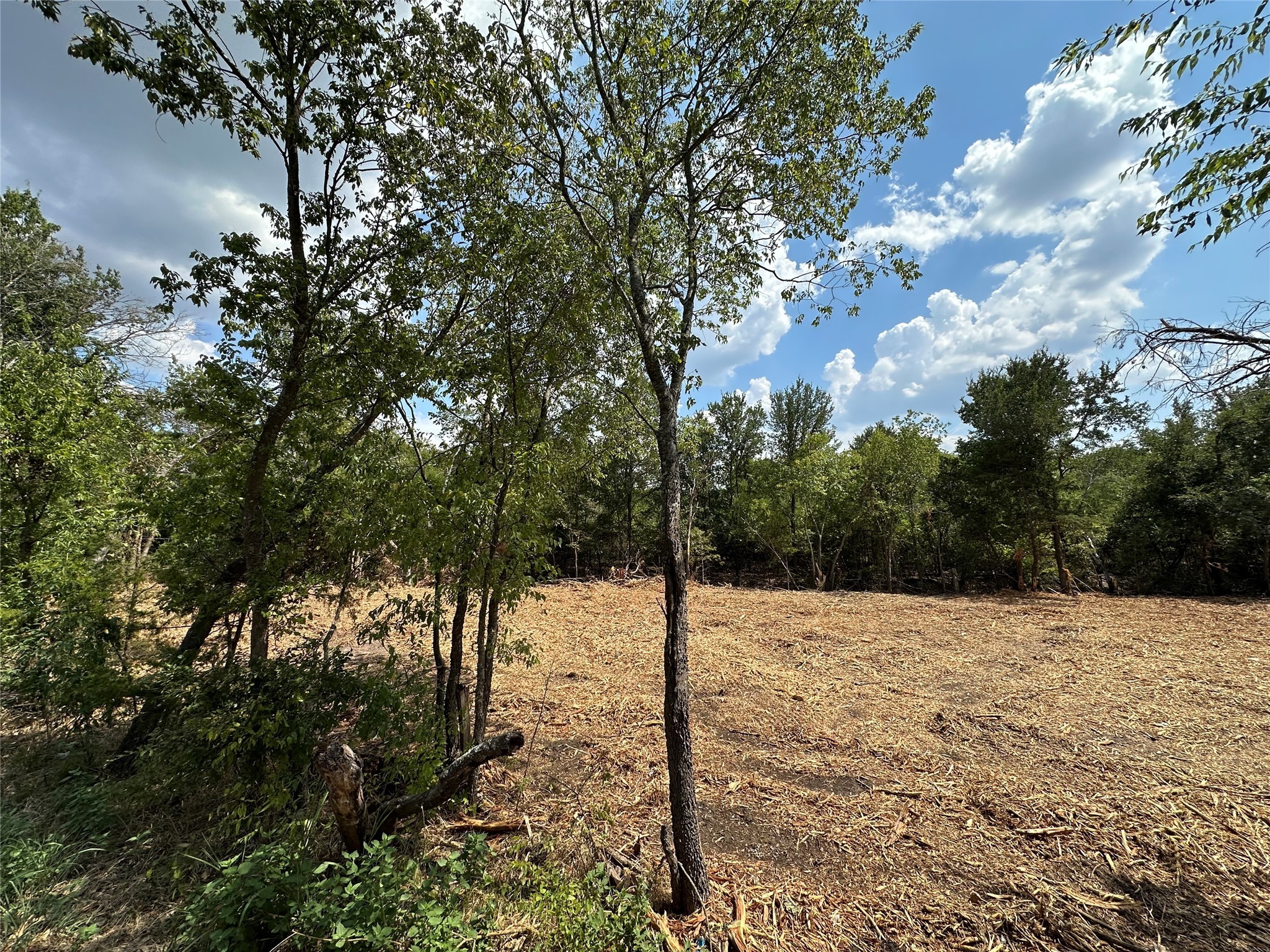 Tbd Cr-2720 Caddo Mills TX 75135