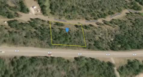 133 War Bonnet Ridge Kingsland TX 78639