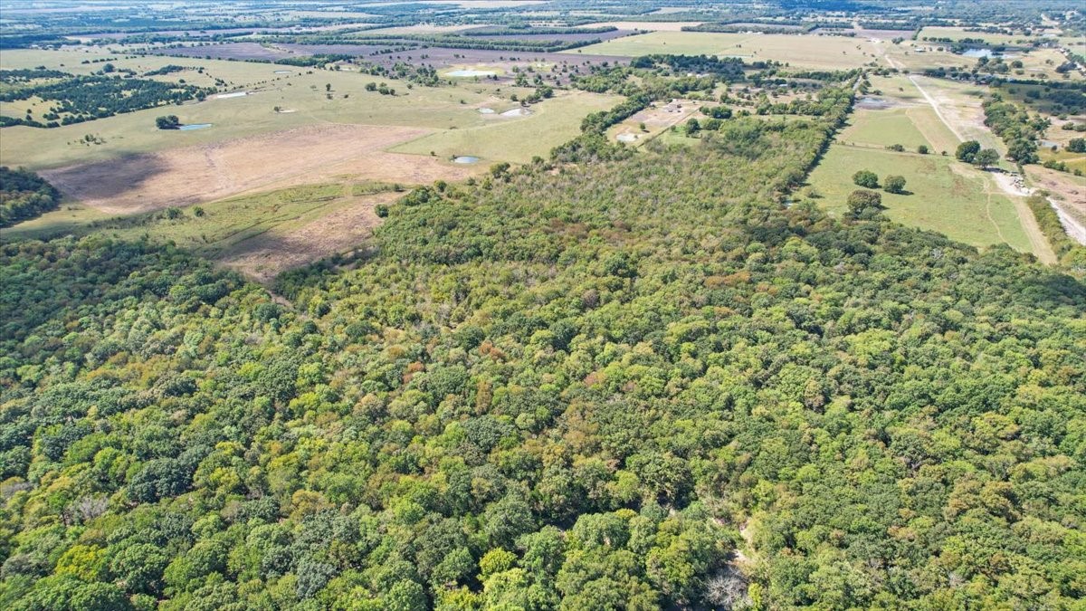 648 Cr 4618 Wolfe City TX 75496