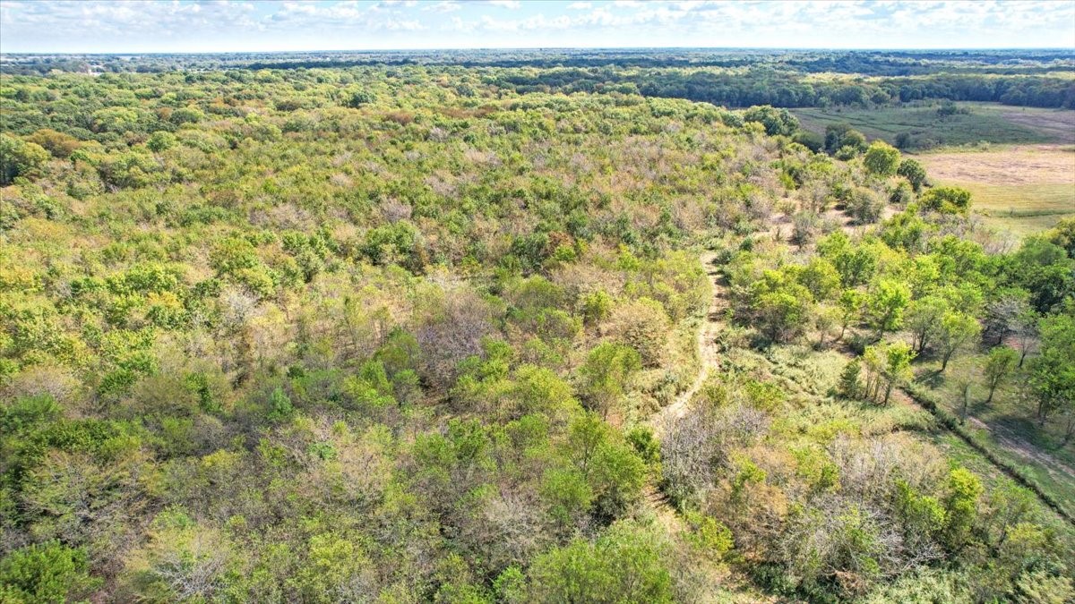 648 Cr 4618 Wolfe City TX 75496