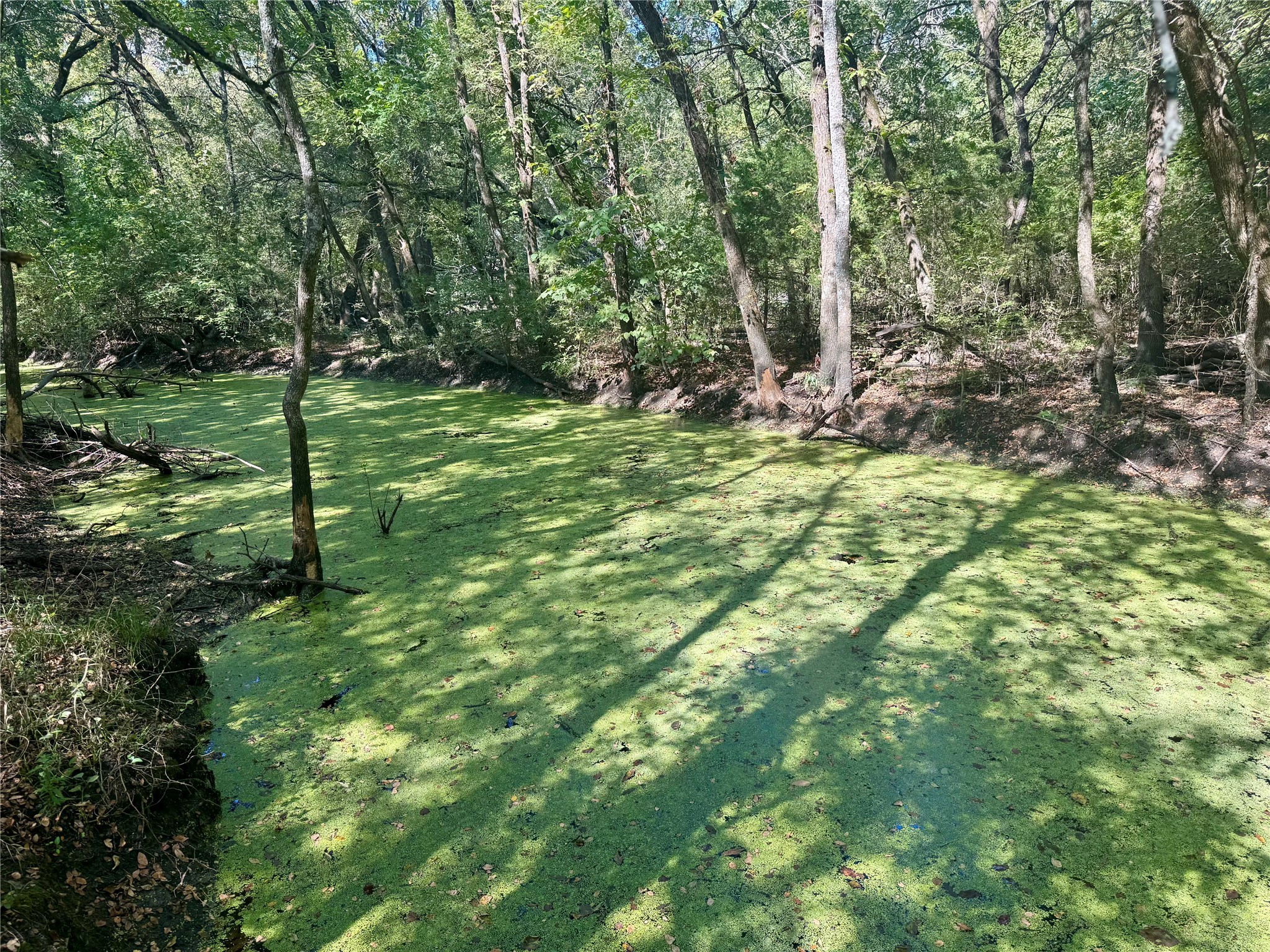 648 Cr 4618 Wolfe City TX 75496