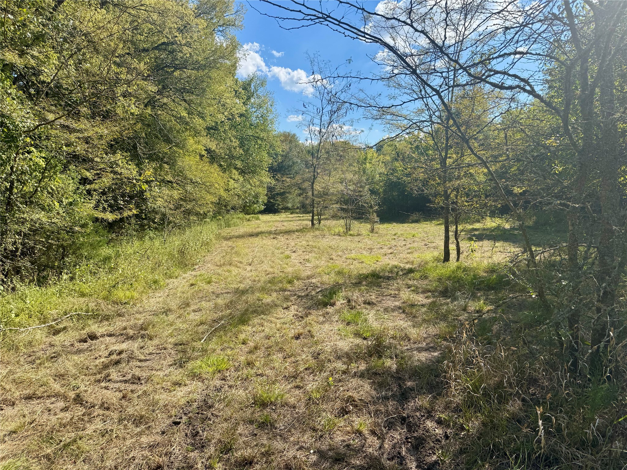 648 Cr 4618 Wolfe City TX 75496