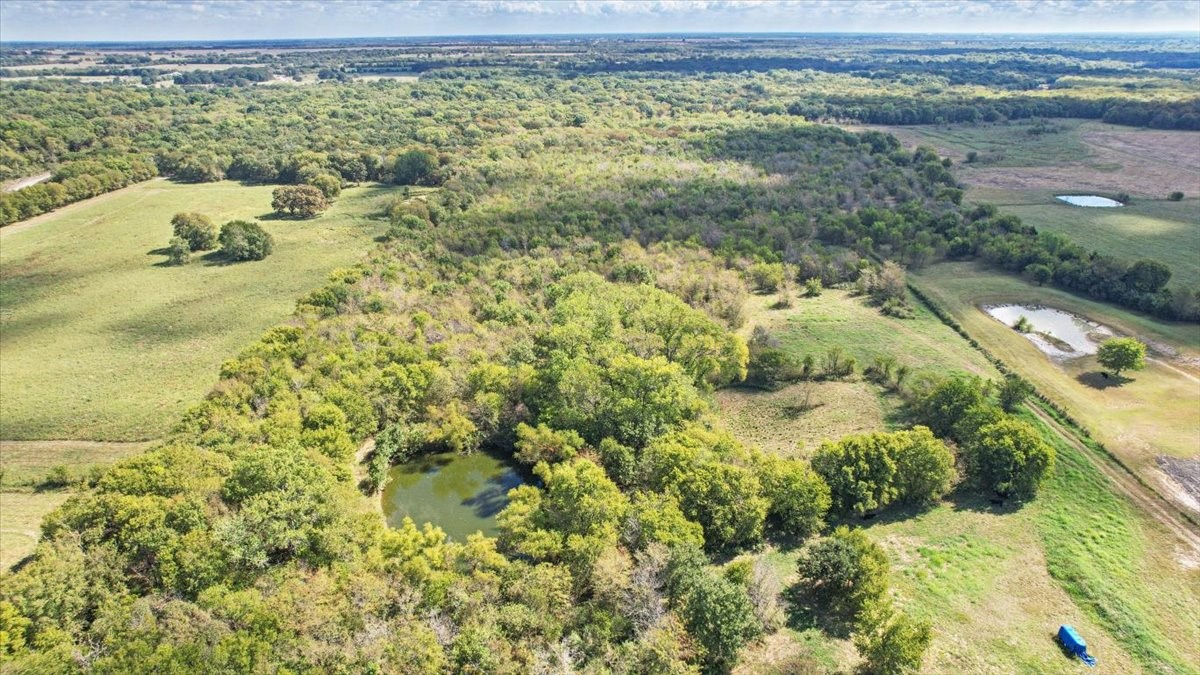 648 Cr 4618 Wolfe City TX 75496