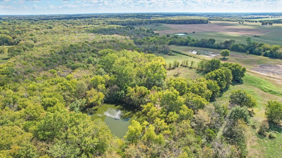648 Cr 4618 Wolfe City TX 75496