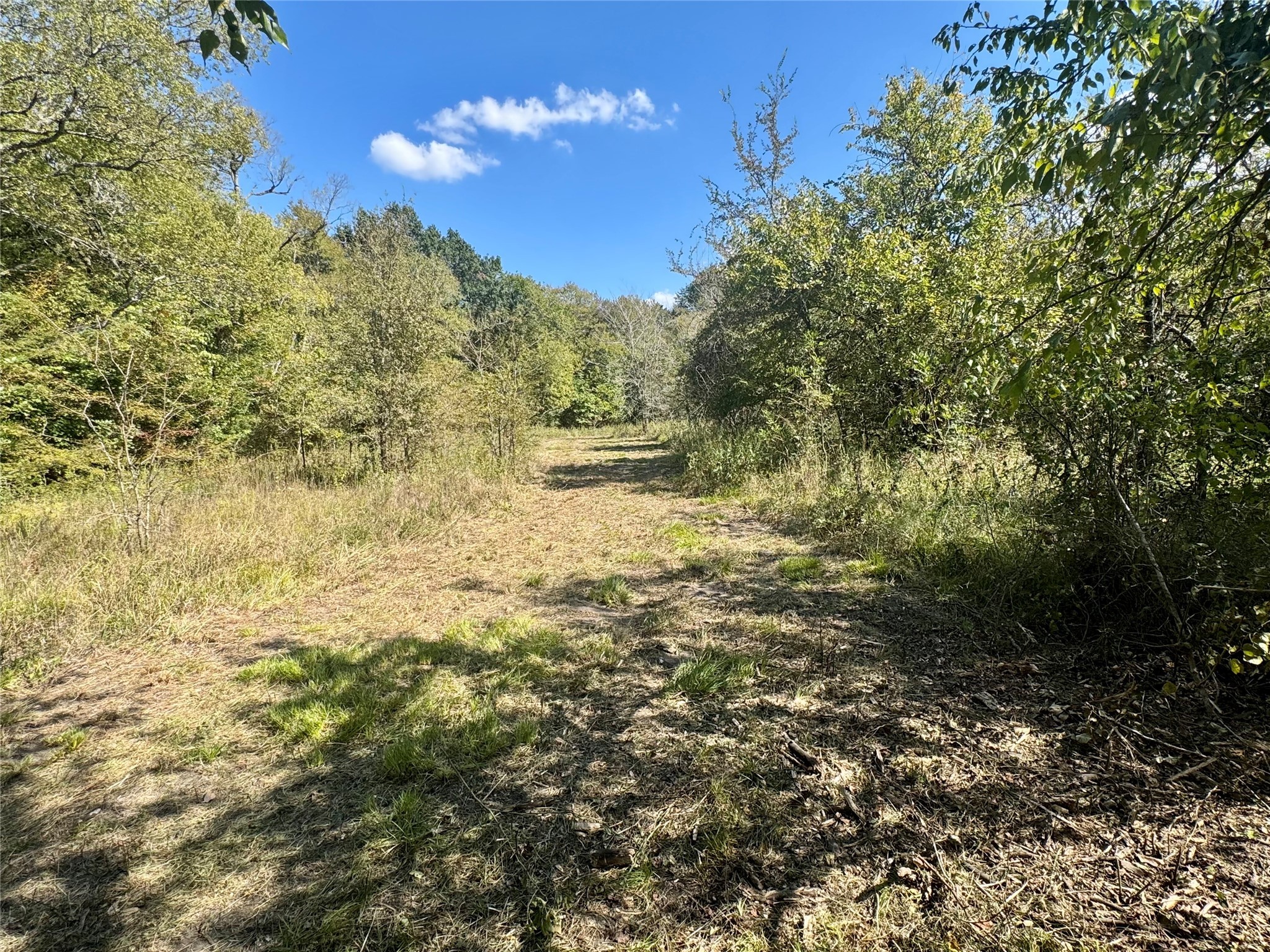648 Cr 4618 Wolfe City TX 75496