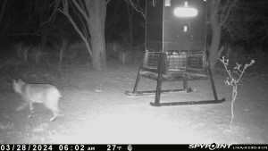 Tbd Cr 129 Rule TX 79547