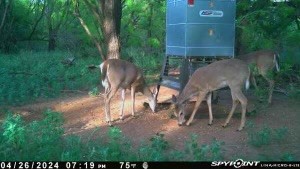 Tbd Cr 129 Rule TX 79547