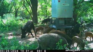 Tbd Cr 129 Rule TX 79547