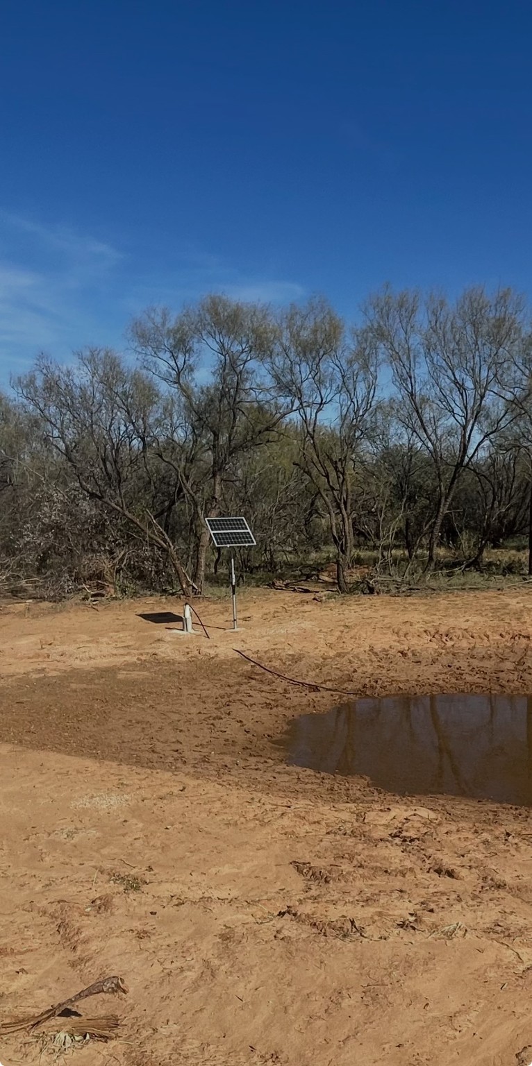 Tbd Cr 129 Rule TX 79547