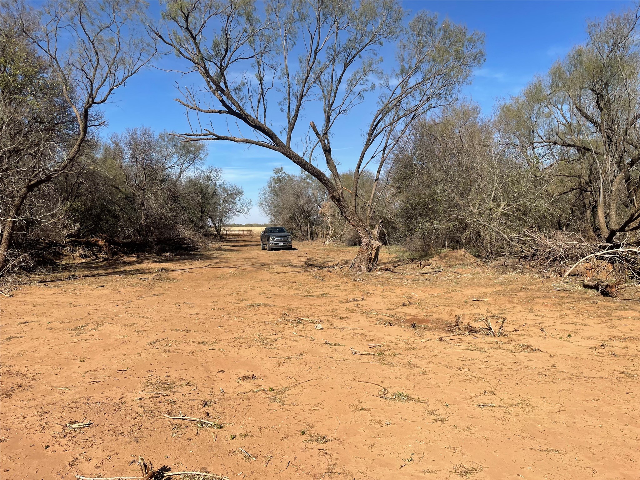 Tbd Cr 129 Rule TX 79547