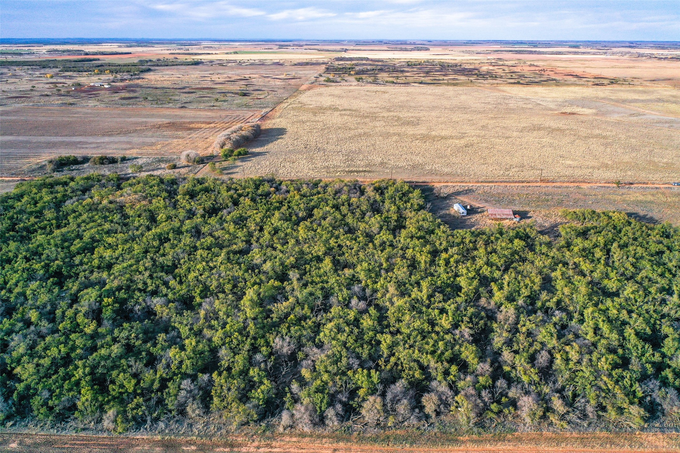 Tbd Cr 129 Rule TX 79547