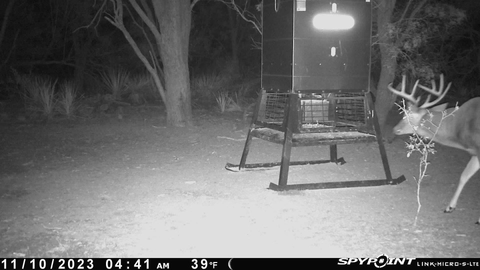 Tbd Cr 129 Rule TX 79547