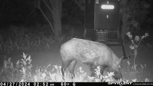 Tbd Cr 129 Rule TX 79547