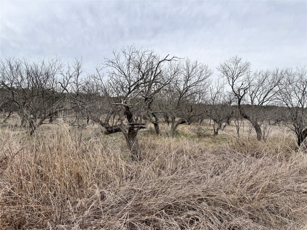 349 Oak Point Drive May TX 76857