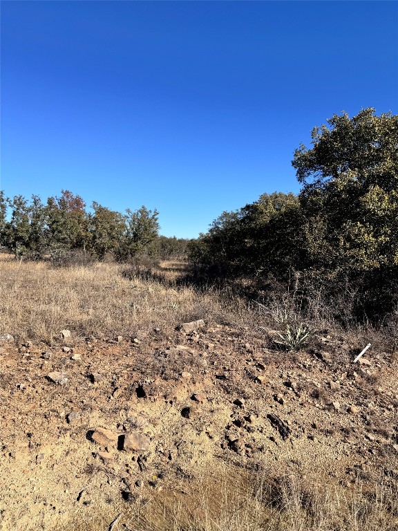 349 Oak Point Drive May TX 76857