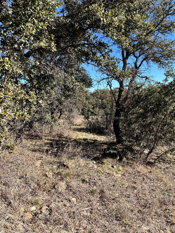 349 Oak Point Drive May TX 76857