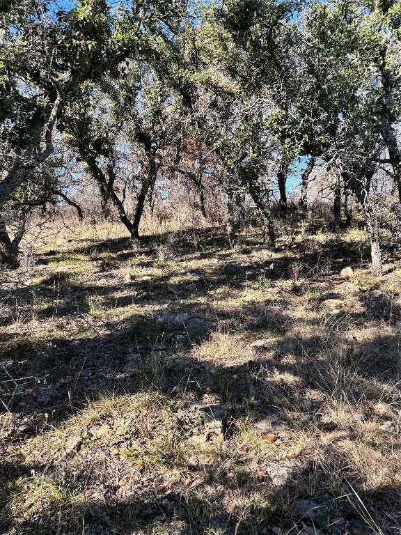 349 Oak Point Drive May TX 76857