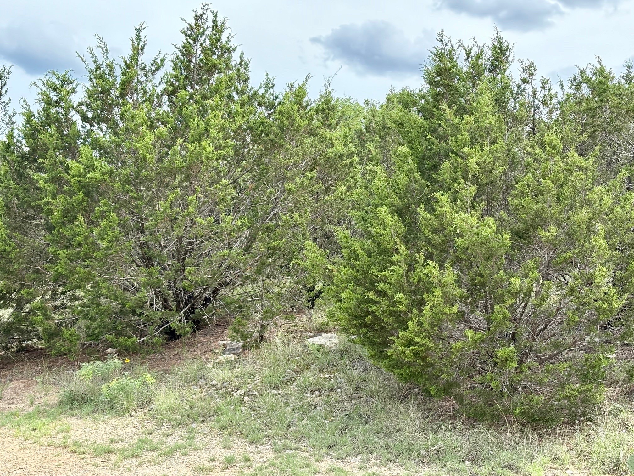 Lot 7 Glen Abbey Drive S Possum Kingdom Lake TX 76449