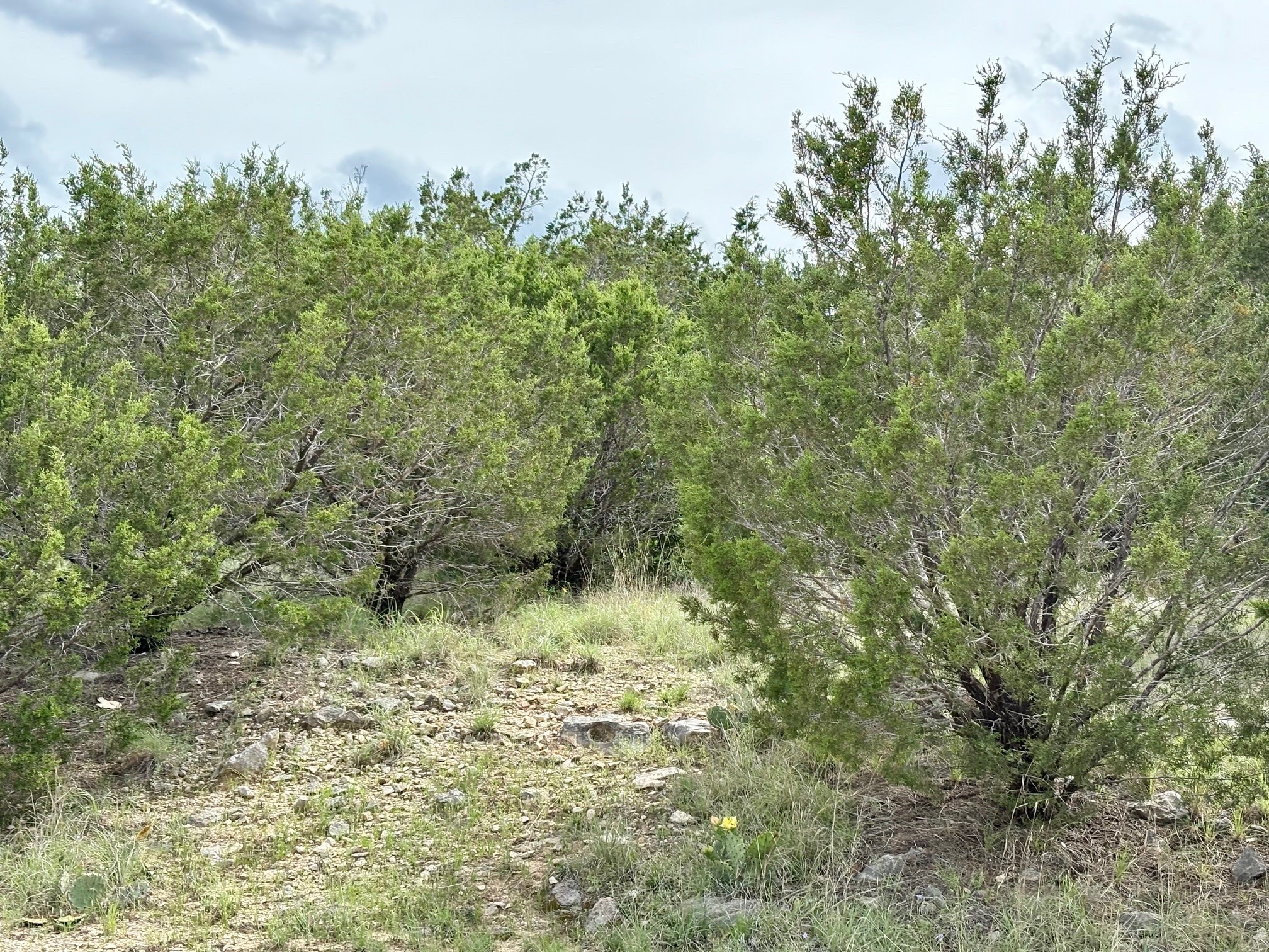 Lot 7 Glen Abbey Drive S Possum Kingdom Lake TX 76449