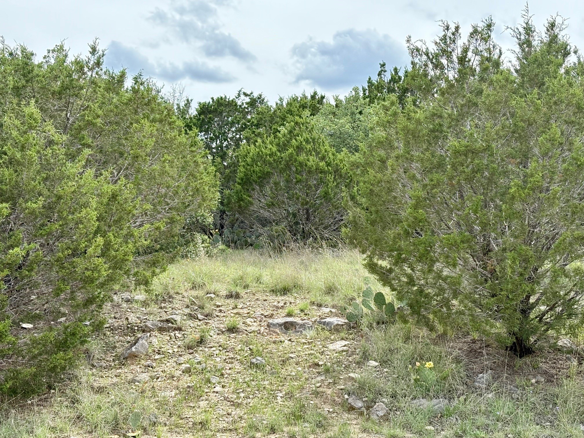 Lot 7 Glen Abbey Drive S Possum Kingdom Lake TX 76449