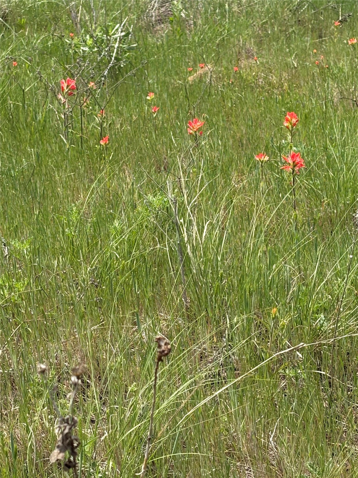 Tbd Causeway Road Jacksboro TX 76458