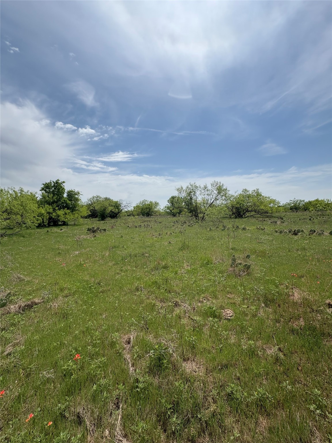 Tbd Causeway Road Jacksboro TX 76458