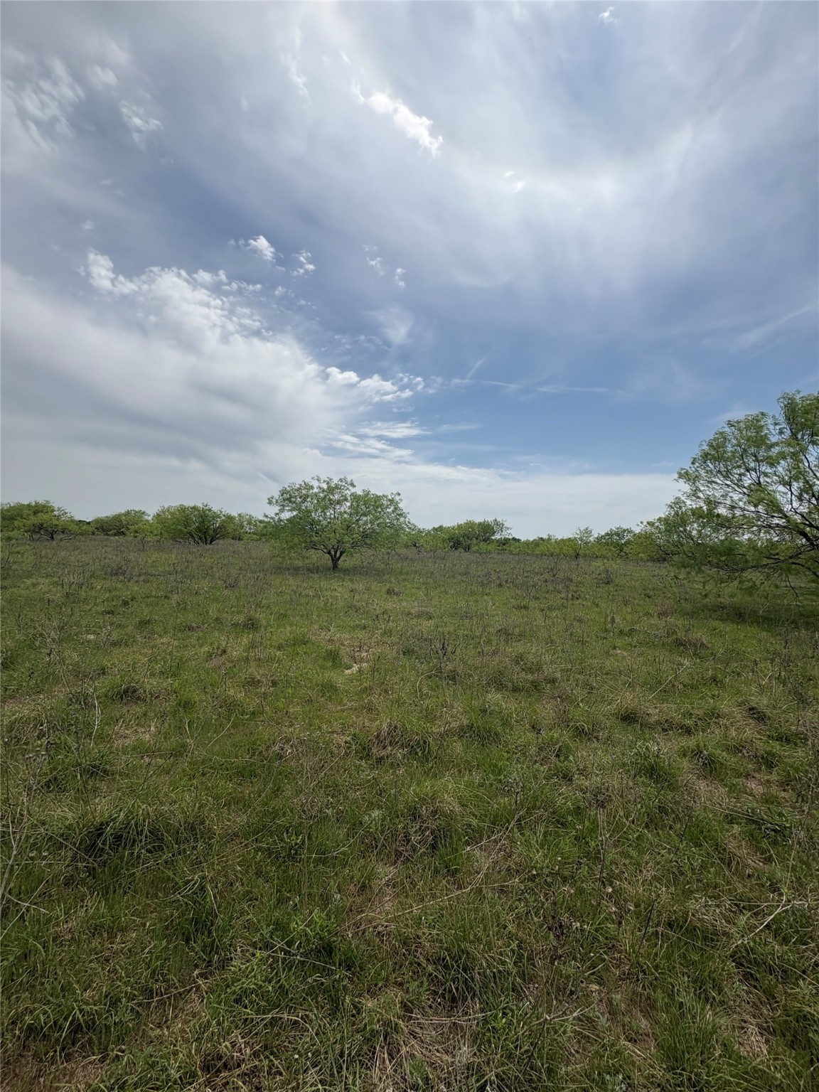 Tbd Causeway Road Jacksboro TX 76458
